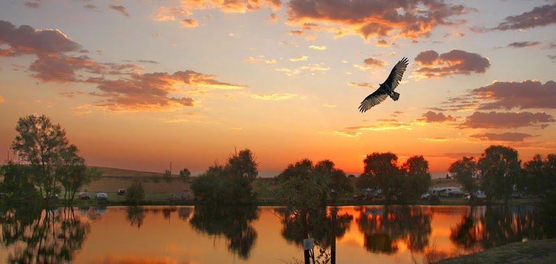 Laguna Del Sol Resort in Wilton, California, United States