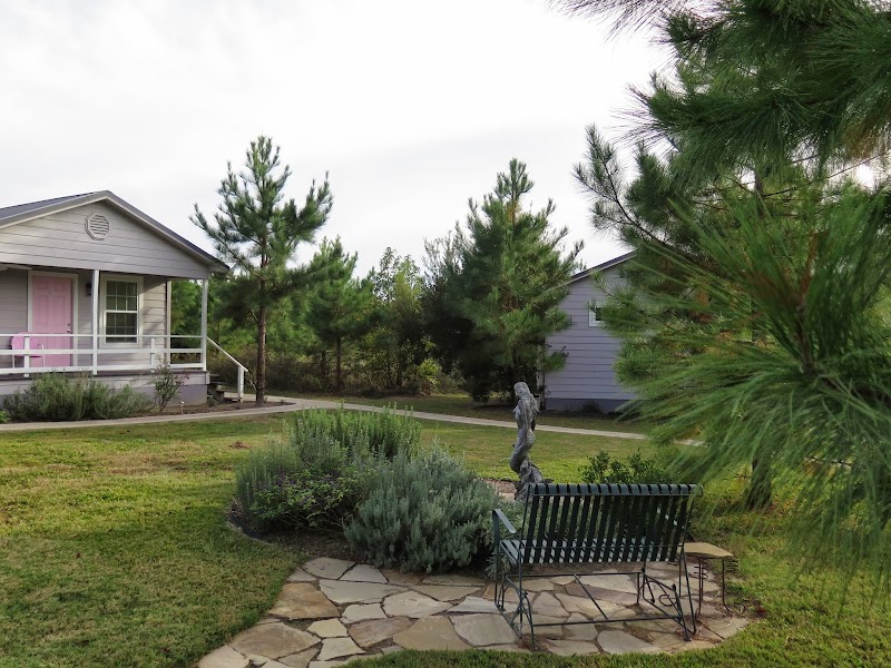Lavender Mermaid Farm B&B in Pittsburg, Texas, United States
