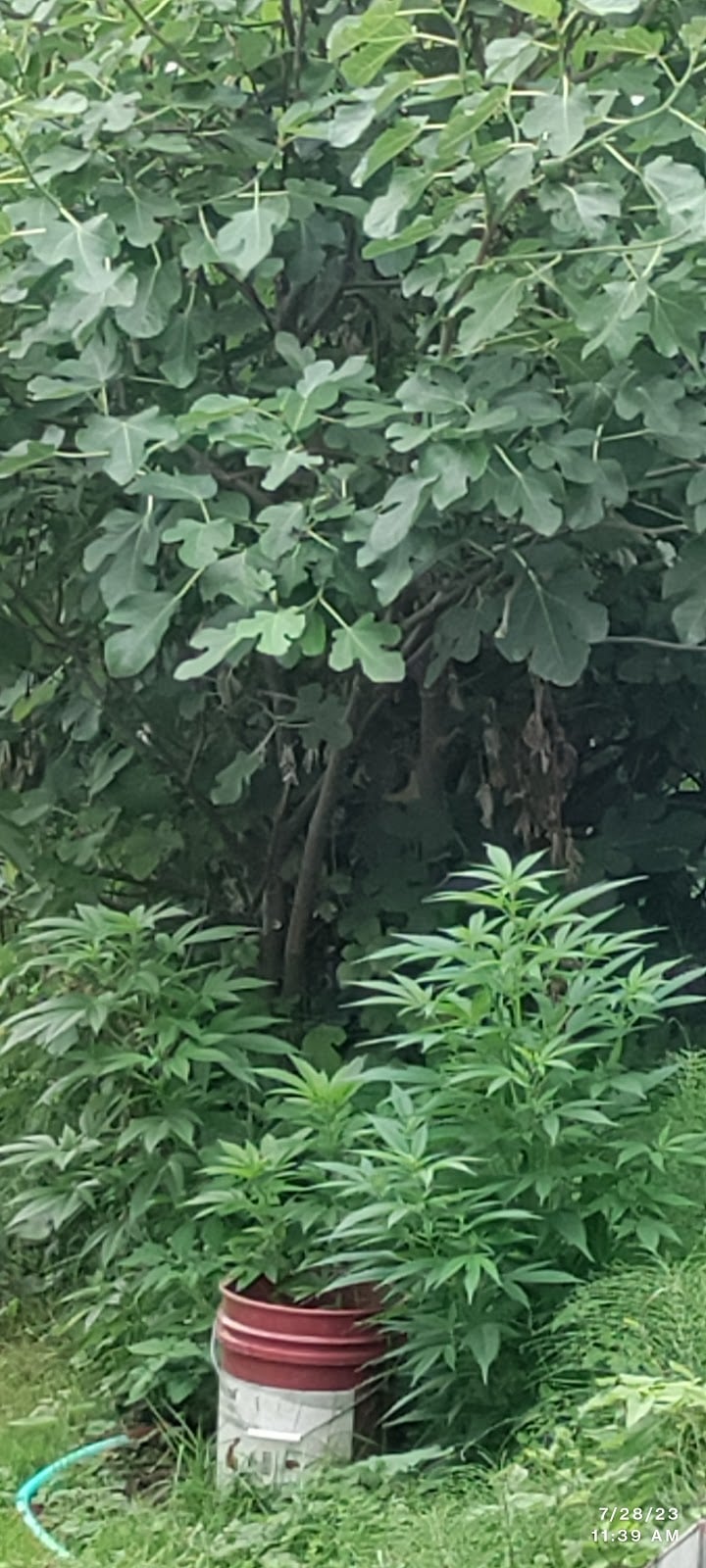 Leisure Manor Inn in Hoquiam, Washington, United States