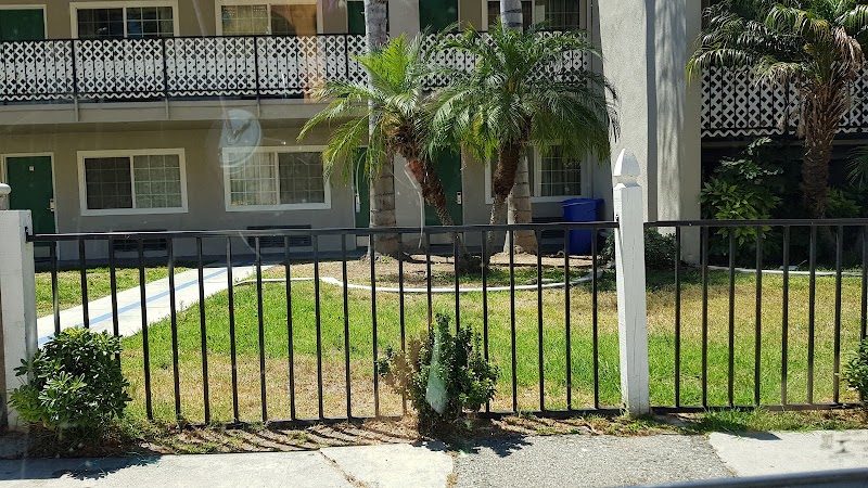 Lemon Tree Motel in Pomona, California, United States