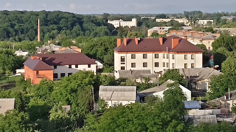 Lesi Ukrainki Street Hotel in Novohrad-Volynskyi, Ukraine