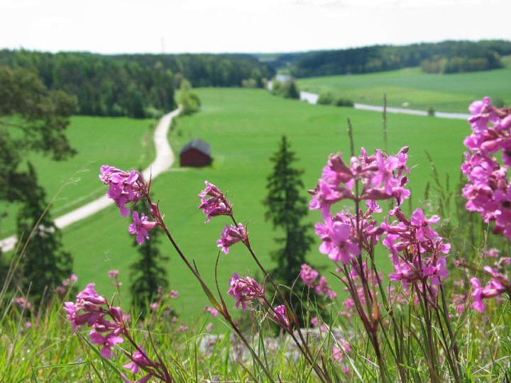 Lieto Vanhalinna in Lieto, Finland