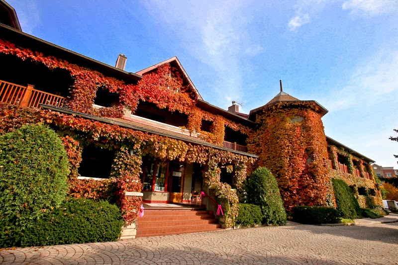 Lynfred Winery Bed & Breakfast in Roselle, Illinois, United States