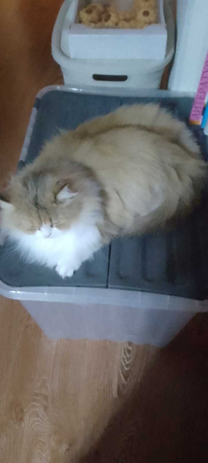 Magas Hotel in Nazran, Russia