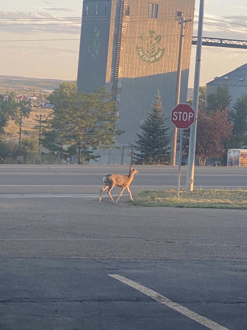 McKenzie Inn in Watford City, North Dakota, United States