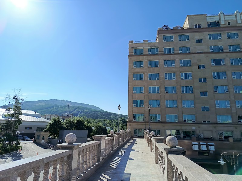 Mega Palace Hotel in Yuzhno-Sakhalinsk, Russia