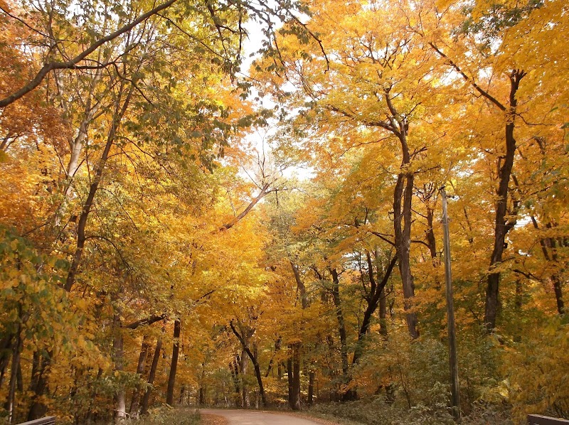 Myre-Big Island State Park Cabins in Albert Lea, Minnesota, United States