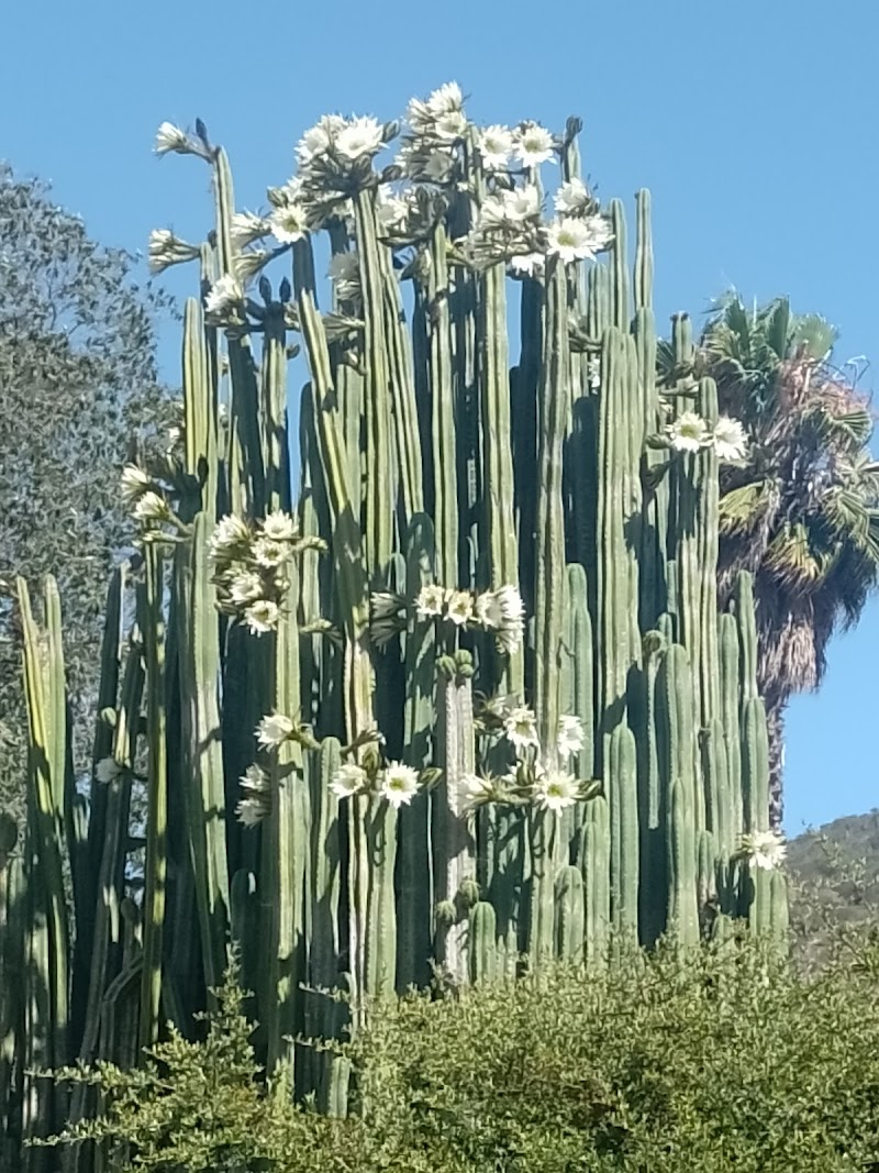Olmue Nativo Ecolodge in Olmue, Chile