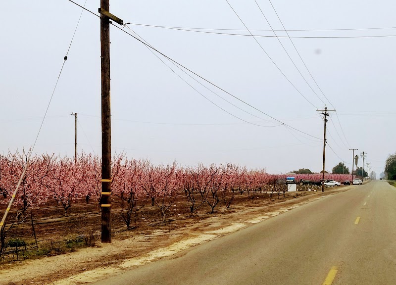 Orange Cove Motel in Orange Cove, California, United States