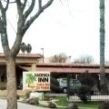 Park Inn Motel