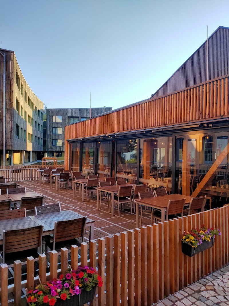 Pension Lipa in Uhersky Brod, Czechia