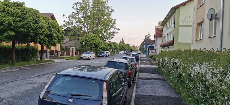 Pension Marion in Vrchlabi, Czechia