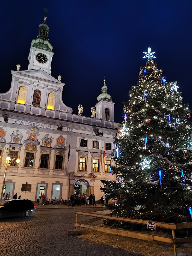 Pension Restaurant Centrum in Ceske Budejovice, Czechia