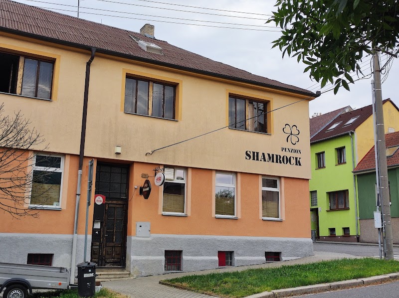 Pension Shamrock in Trebic, Czechia
