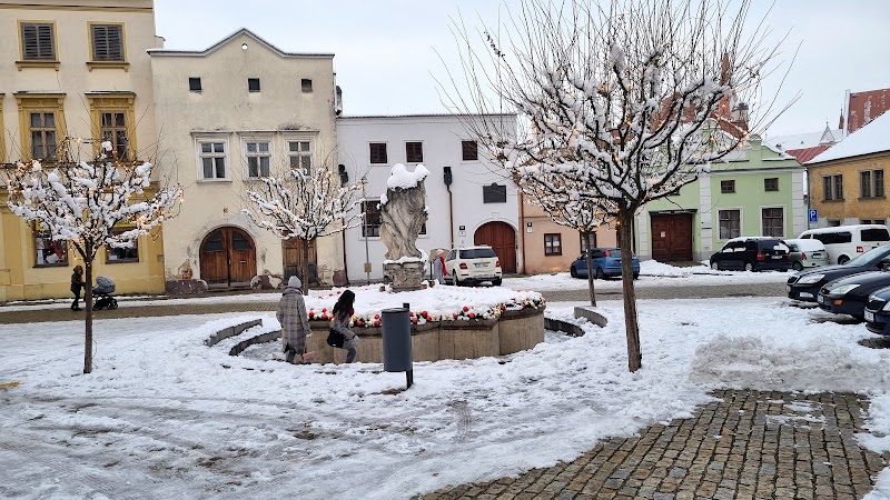 Penzion Austis in Znojmo, Czechia