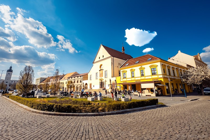 Penzion Longus in Kyjov, Czechia