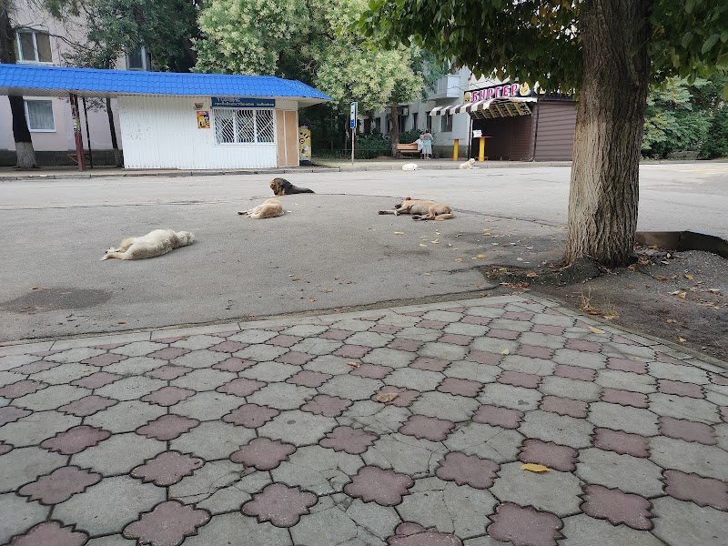 Prichal Hotel in Novovoronezh, Russia