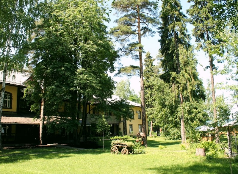 Pushkino Art Hotel in Pushkino, Russia