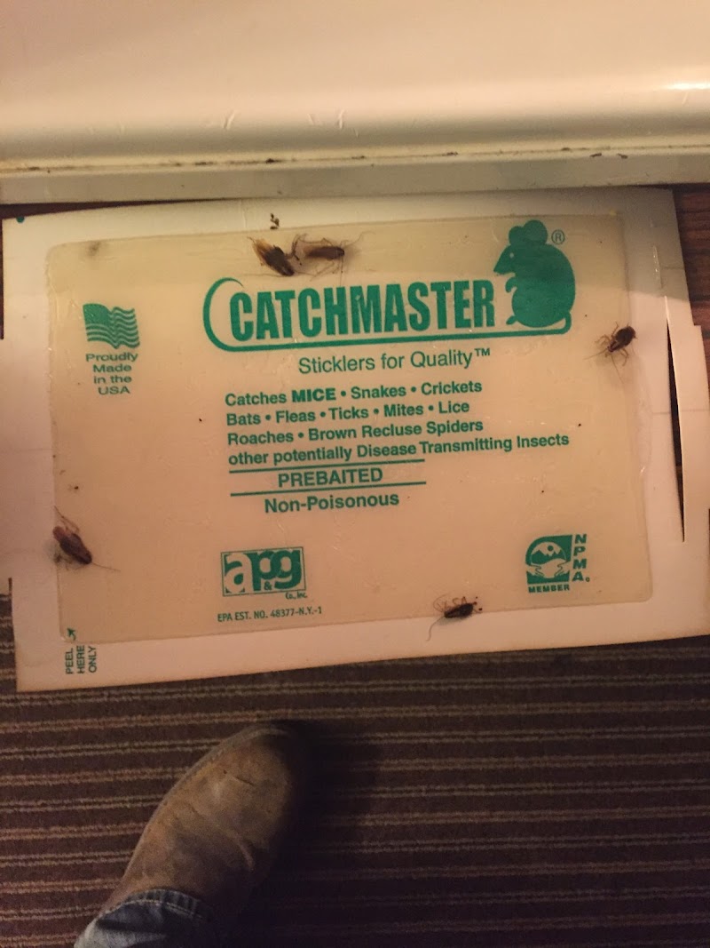 Red Cardinal Inn in Madisonville, Kentucky, United States