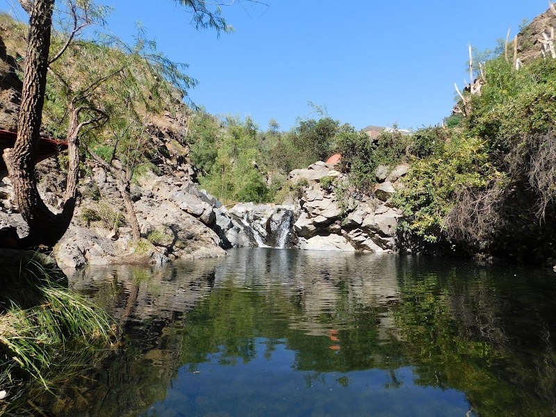Refugio Ecologico in San Jose de Maipo, Chile