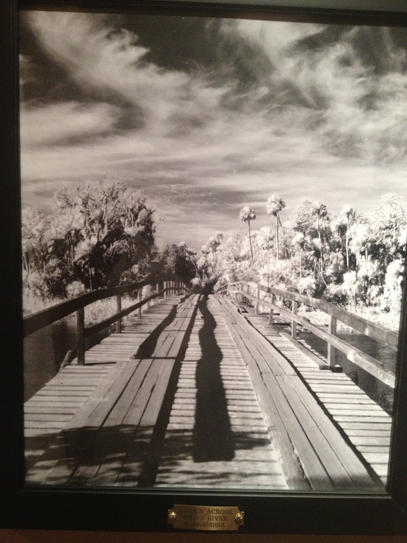 Riverhaven Marina and Motel in Homosassa Springs, Florida, United States