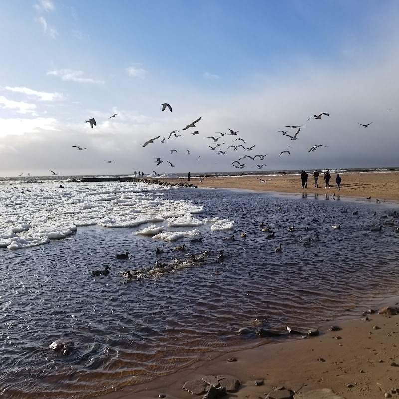 Riviera Hotel Zelenogorsk in Zelenogorsk, Russia