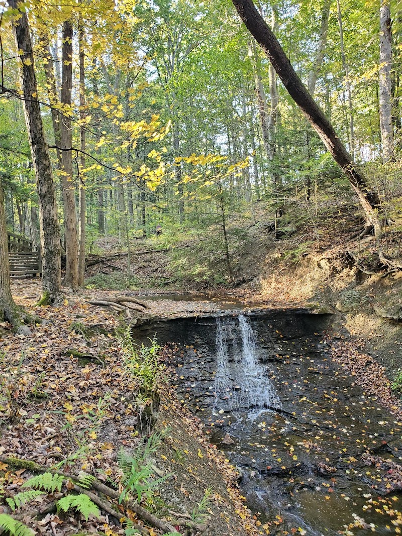 Strawberry Cottage in Willoughby Hills, Ohio, United States