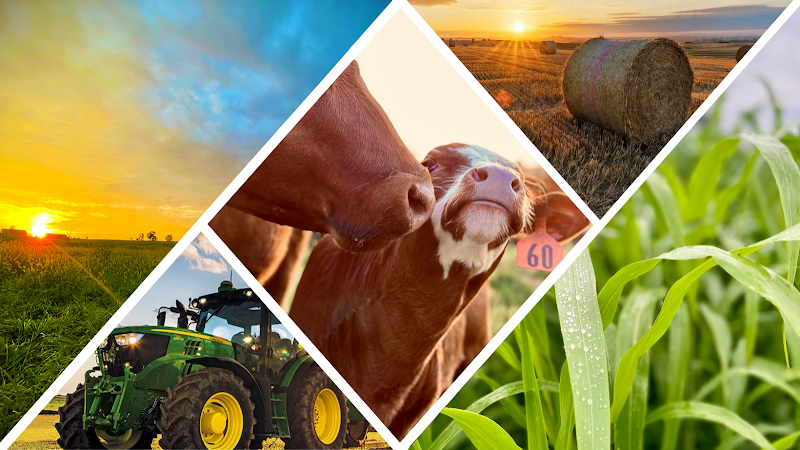 Sun Valley Ranch in De Soto, Missouri, United States