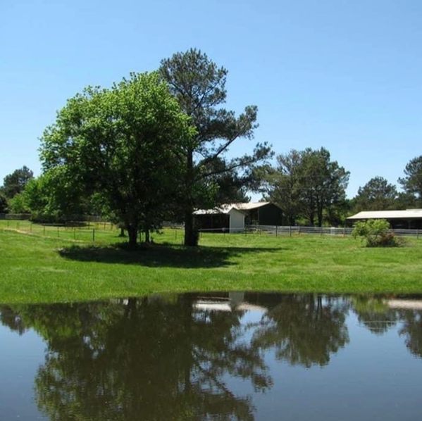 Sweetlips B&B in Henderson, Tennessee, United States