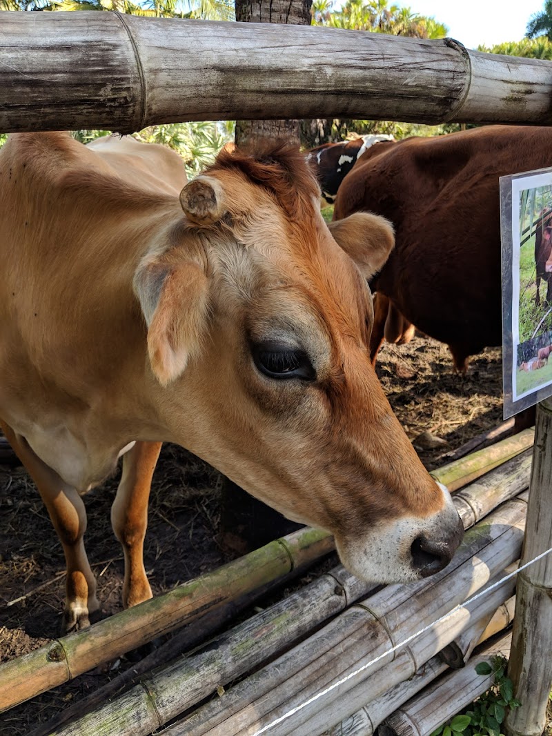 The Barn B&B in Jupiter Farms, Florida, United States