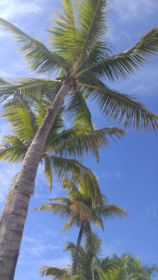 The Beach Club at St. Augustine in St. Augustine Beach, Florida, United States
