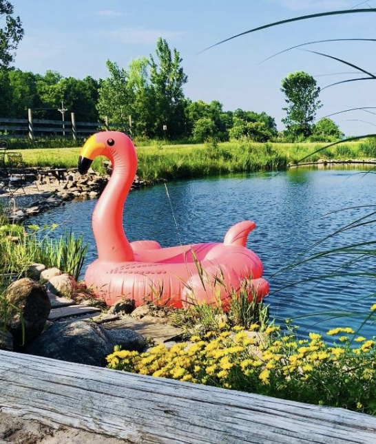 The Bella Ella Bed & Breakfast in Hilton, New York, United States