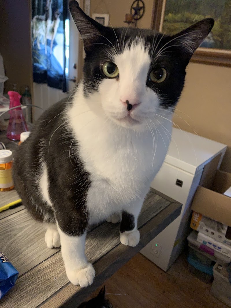 The Waldo Way Dairy and Farmstead B&B in Gilmer, Texas, United States