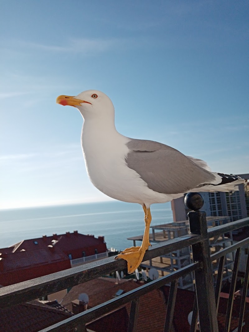Villa Valentina in Bakhchysarai, Ukraine