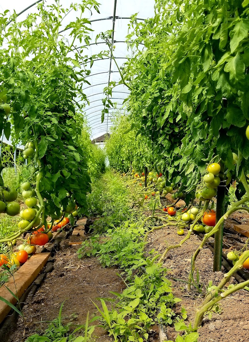 Wellspring B&B in West Bend, Wisconsin, United States