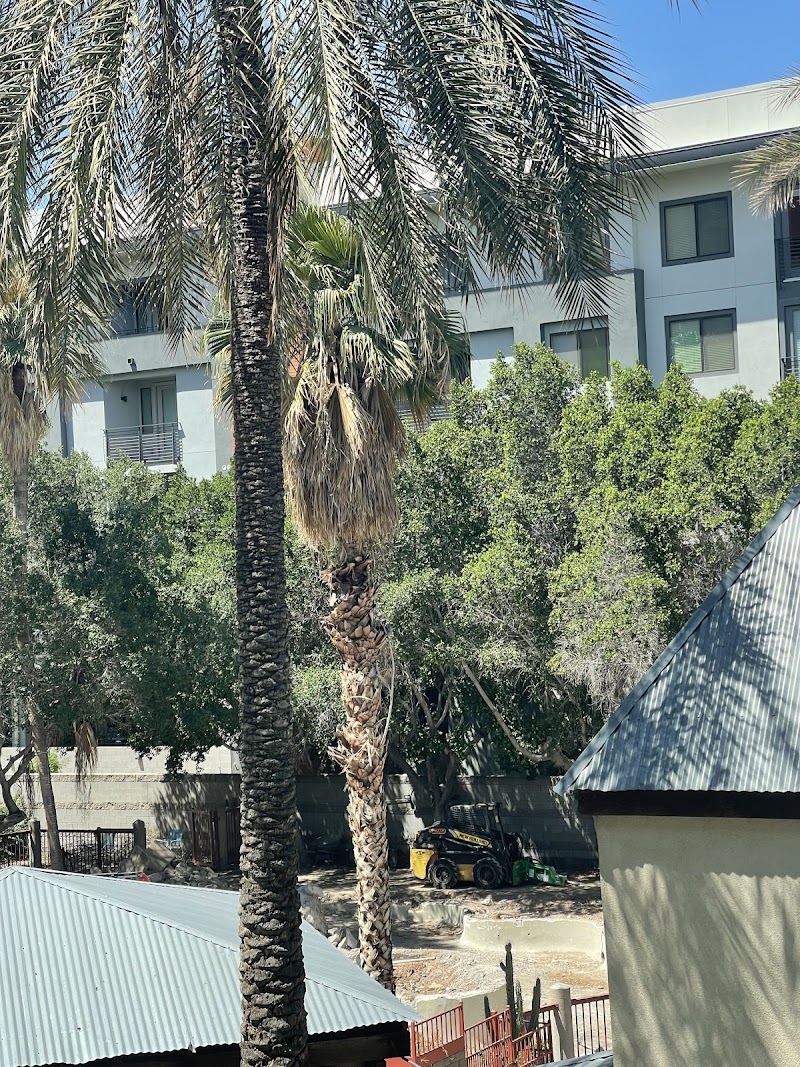 Wyndham Garden Phoenix Midtown in Phoenix, Arizona, United States