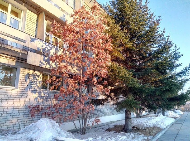 Zeya Hotel in Zeya, Russia