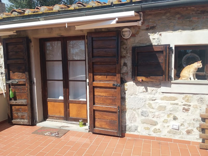 AU-RA Vegan B&B in Castagneto Carducci, Italy