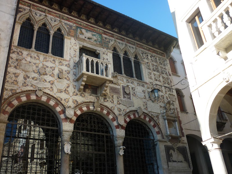 Achillea in Vittorio Veneto, Italy
