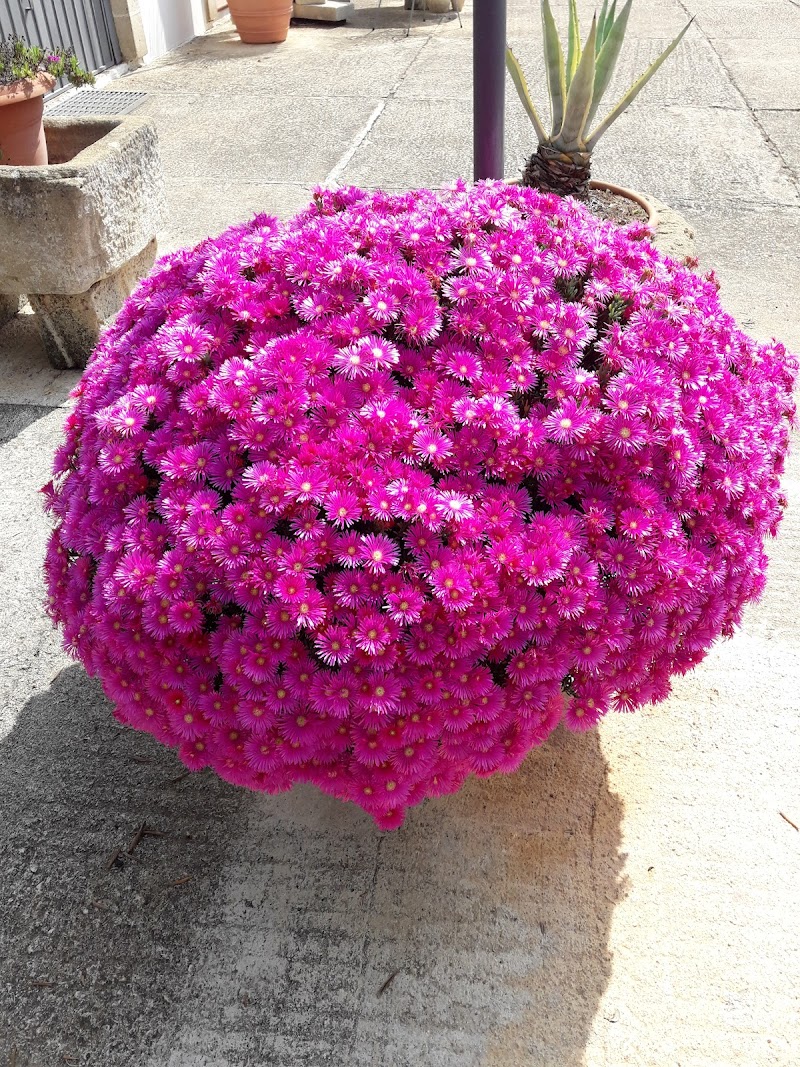 Agrimar in Sava, Italy