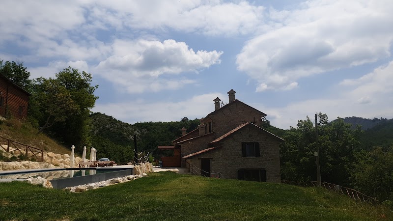 Agriturismo Al Colle in Bertinoro, Italy