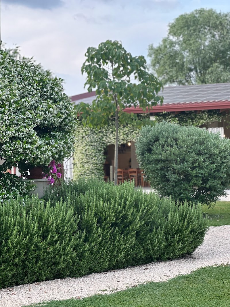 Agriturismo Altrove in San Michele al Tagliamento, Italy