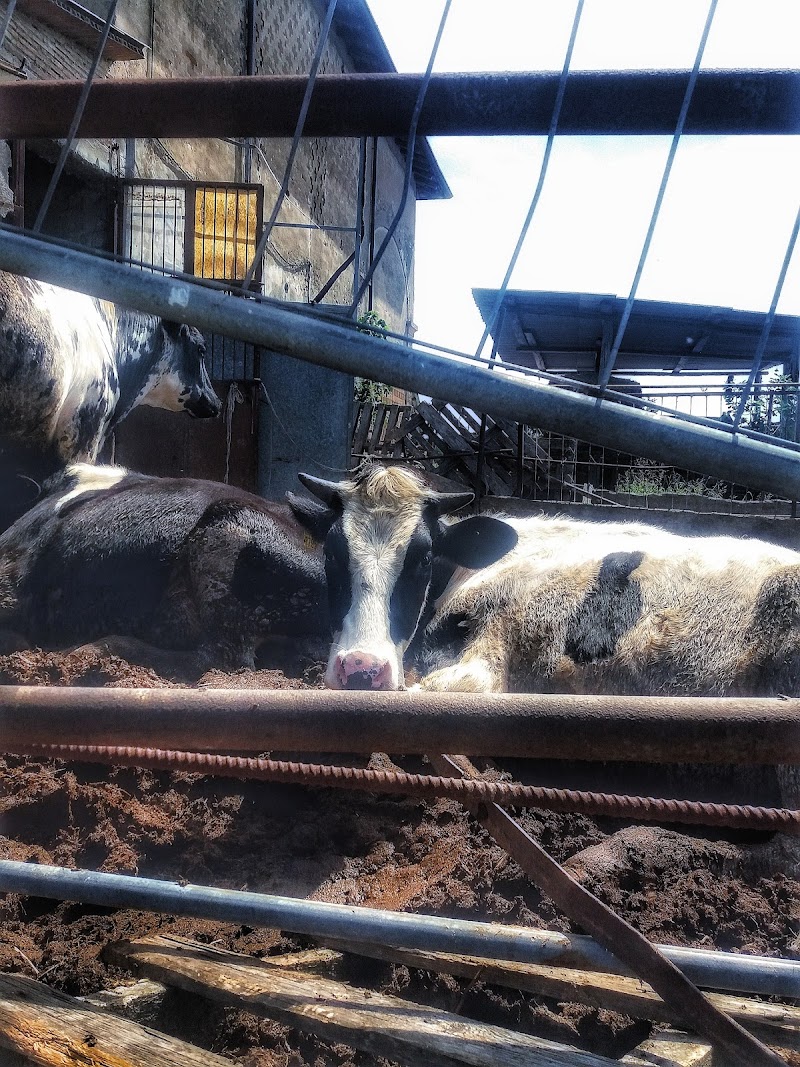 Agriturismo Aquila Nera in Cadelbosco di Sopra, Italy