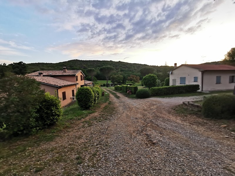 Agriturismo Arnaione in Roccastrada, Italy