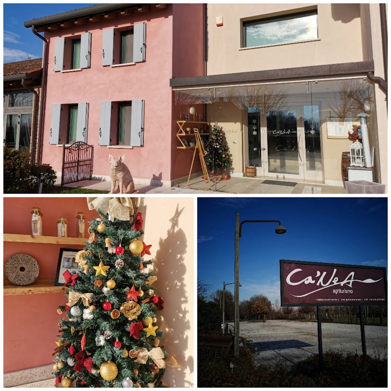 Agriturismo Cà Nea in Resana, Italy