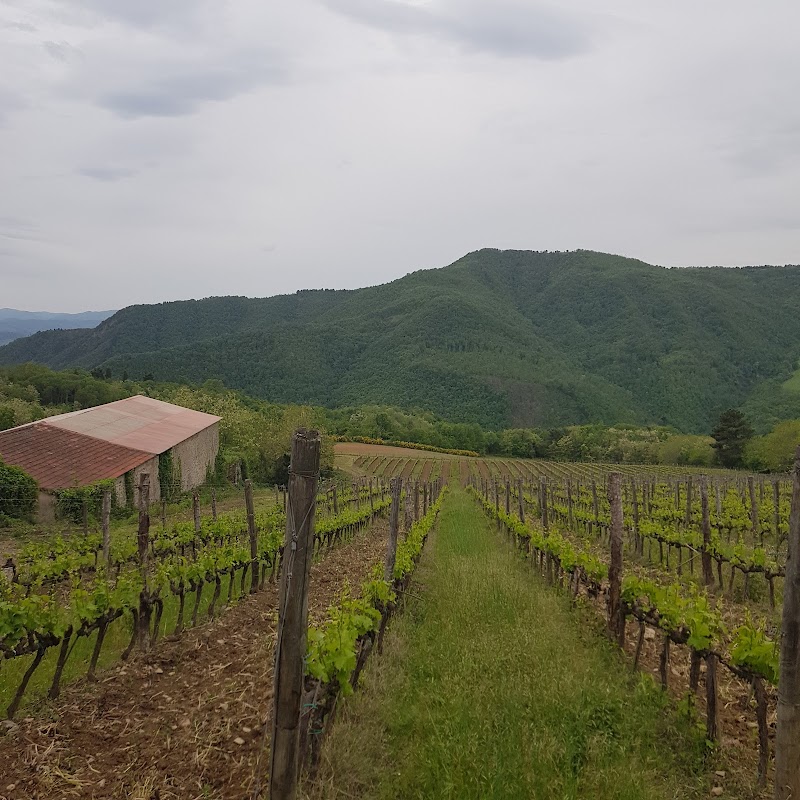 Agriturismo Colognole in Pontassieve, Italy