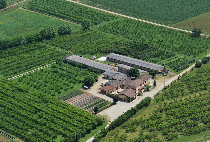 Agriturismo Corte Le Faraone in Roverbella, Italy