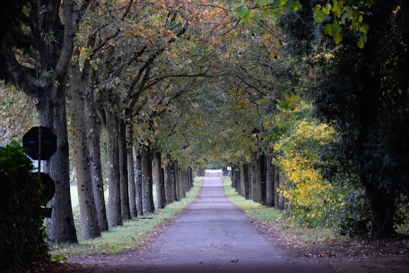Agriturismo Fattoria Varramista in Montopoli in Val d'Arno, Italy