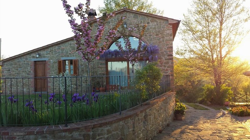 Agriturismo Il Capoverso in Monte San Savino, Italy
