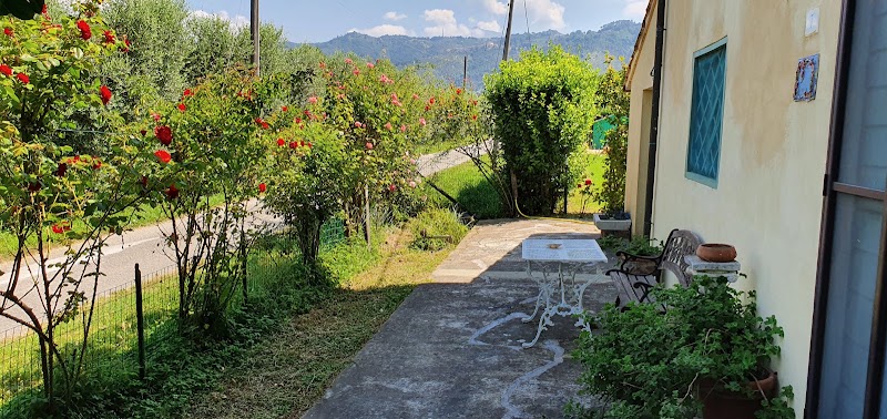 Agriturismo Il Chicco d'Oro in Massarosa, Italy